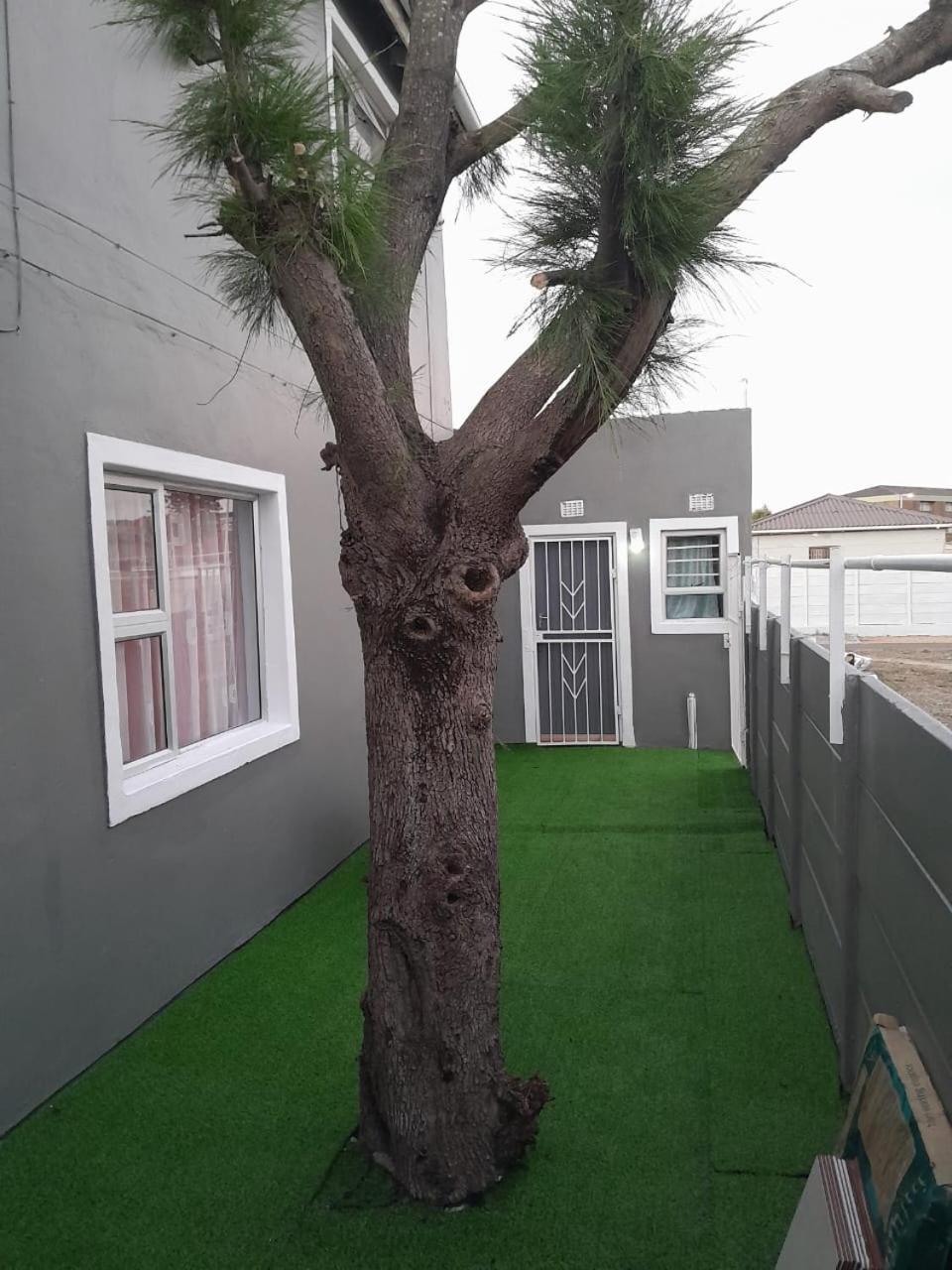 Brooklyn Queens And Kings Guesthouse Cidade Do Cabo Exterior foto